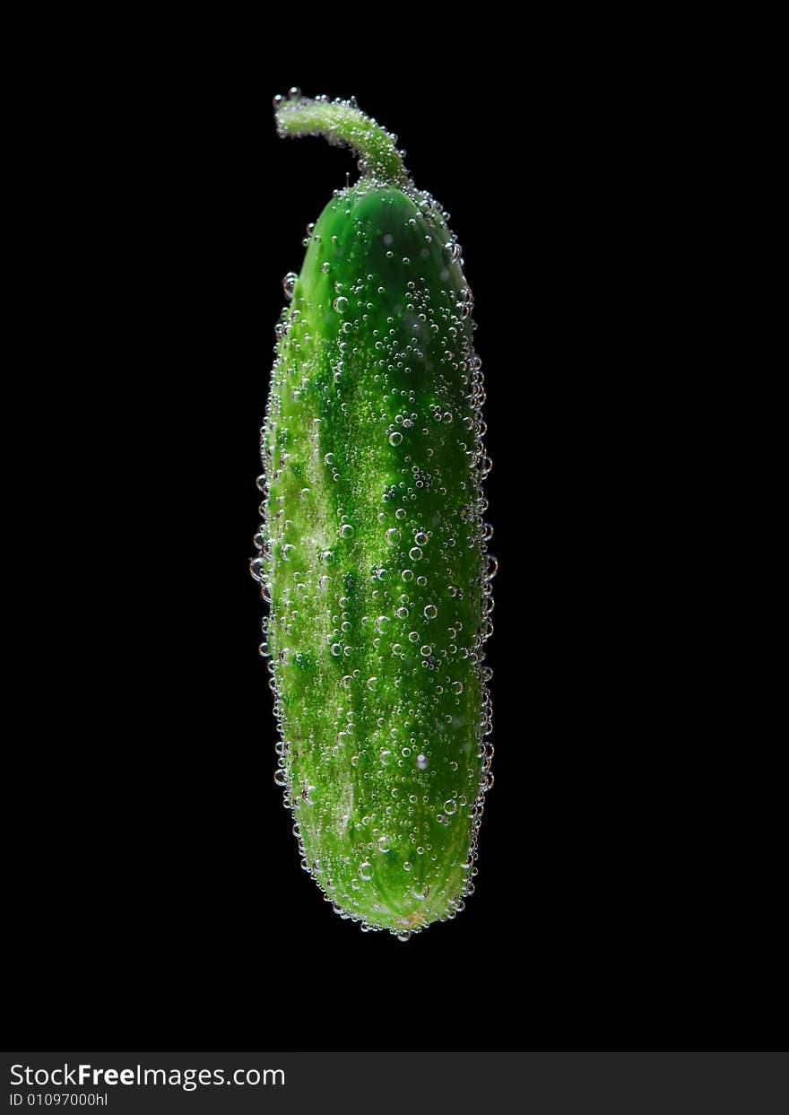 Cucumber