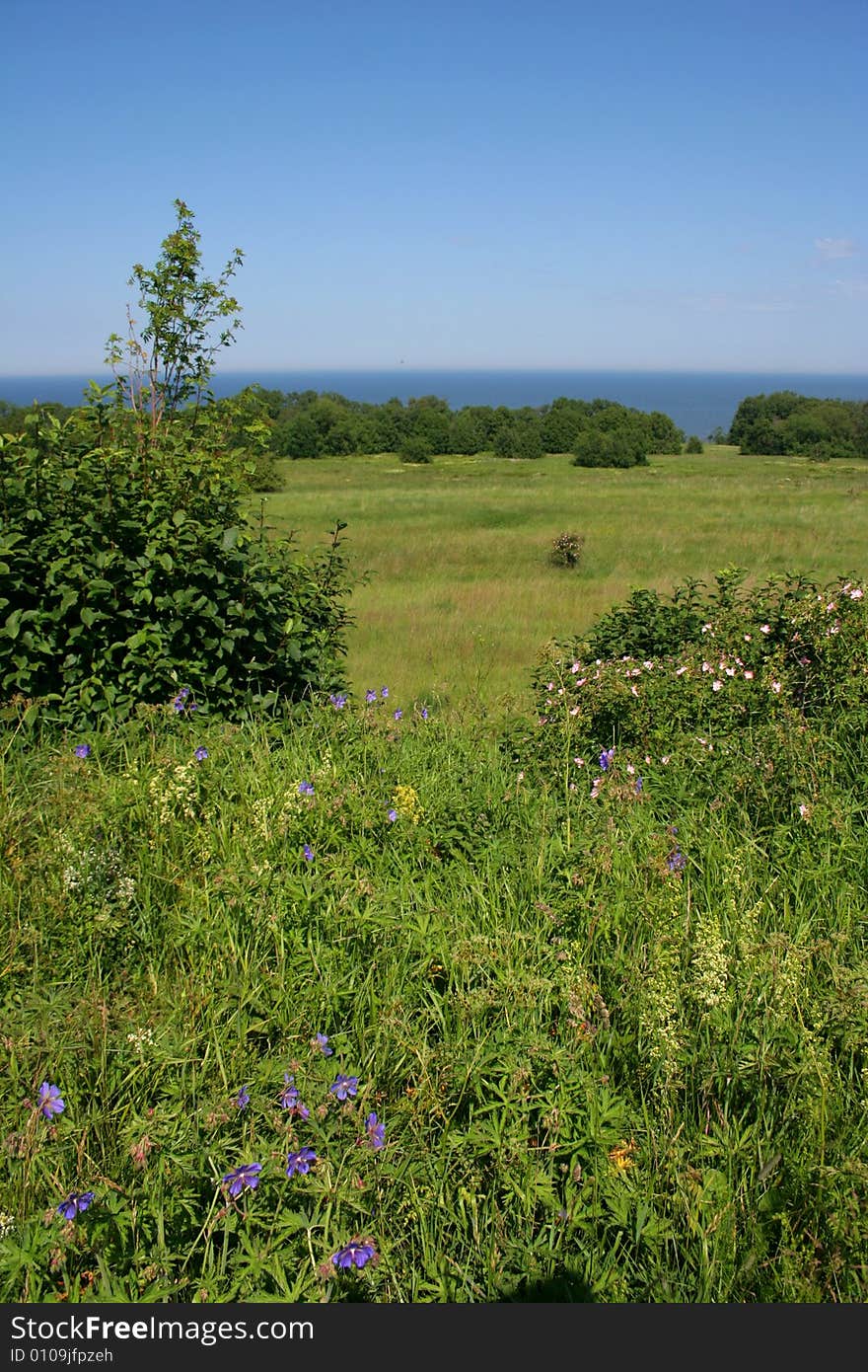 Blue-green