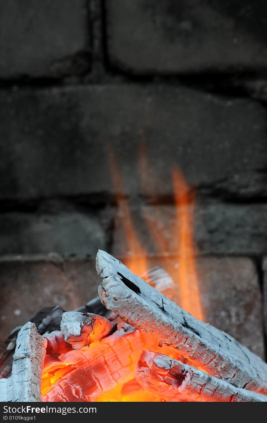 Burning fire wood in fireplace