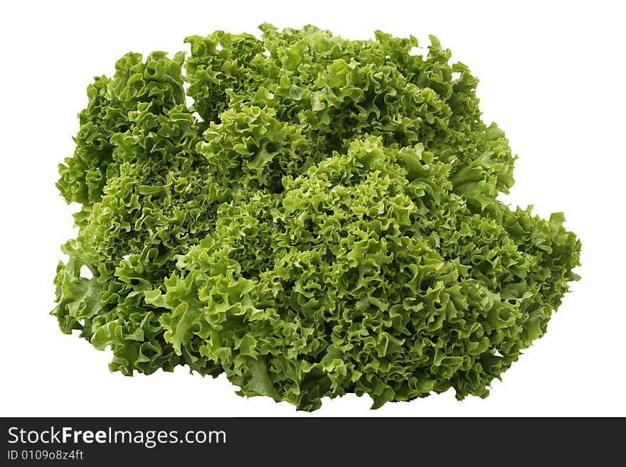 Green Lettuce