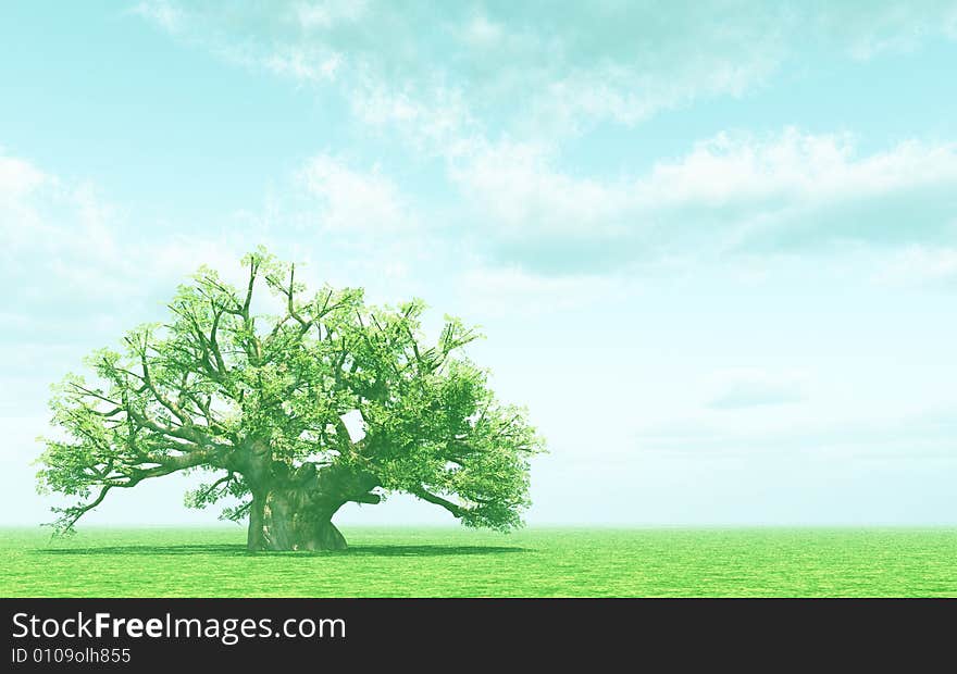 Beautiful landscape with lonely tree