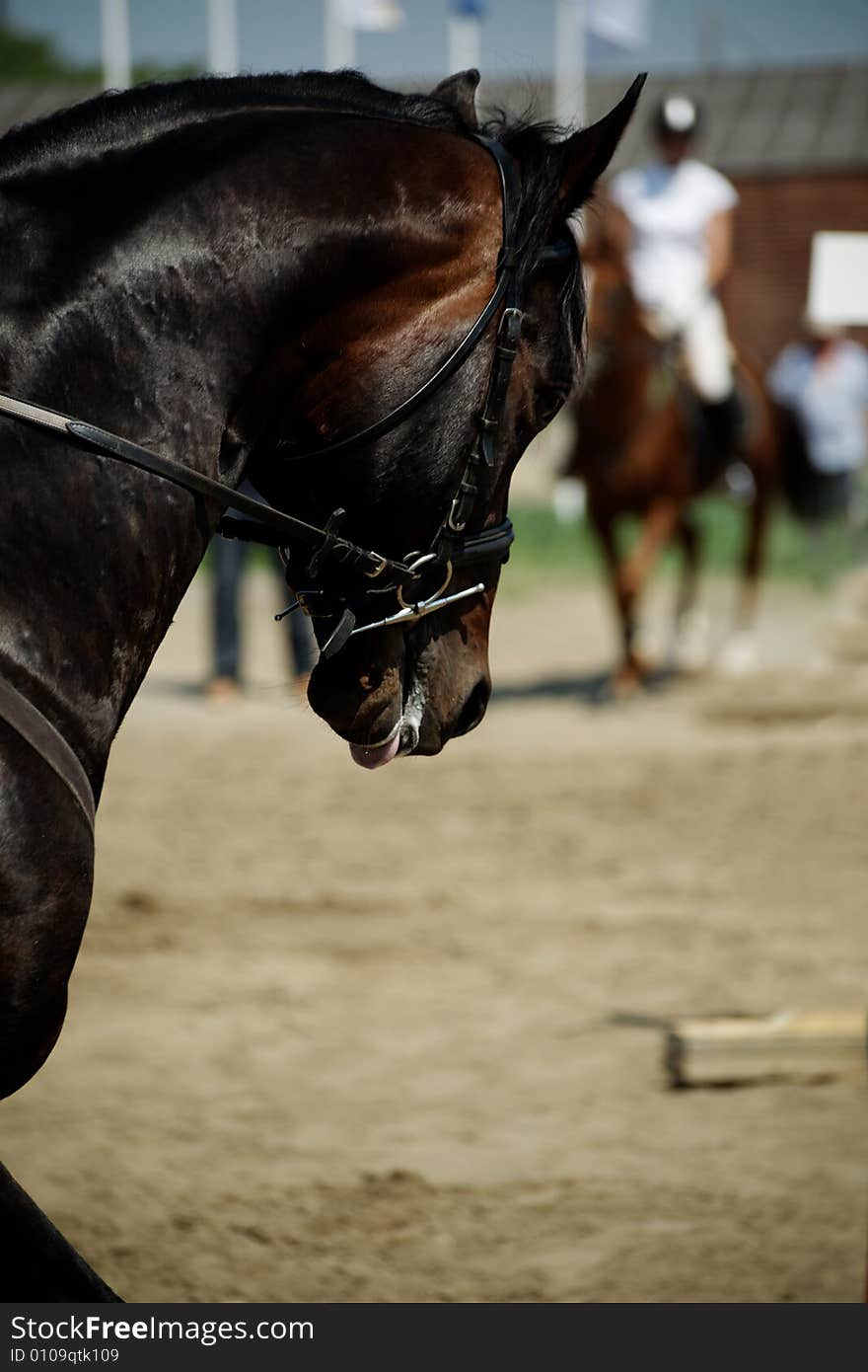 Horse theme: jockeys, horse races, speed. Horse theme: jockeys, horse races, speed.