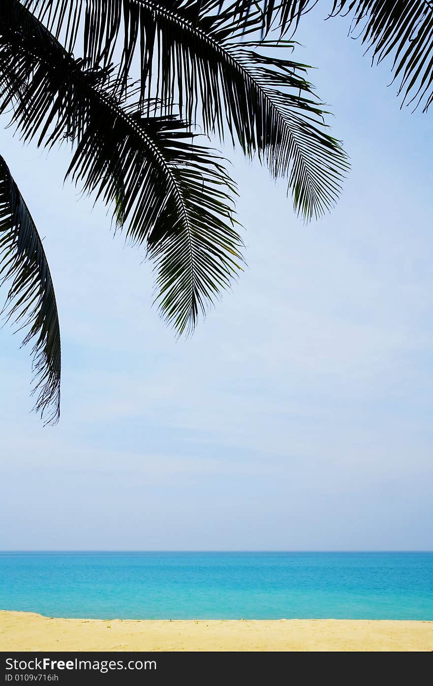 View of nice tropical empty sandy beach with some palm. View of nice tropical empty sandy beach with some palm