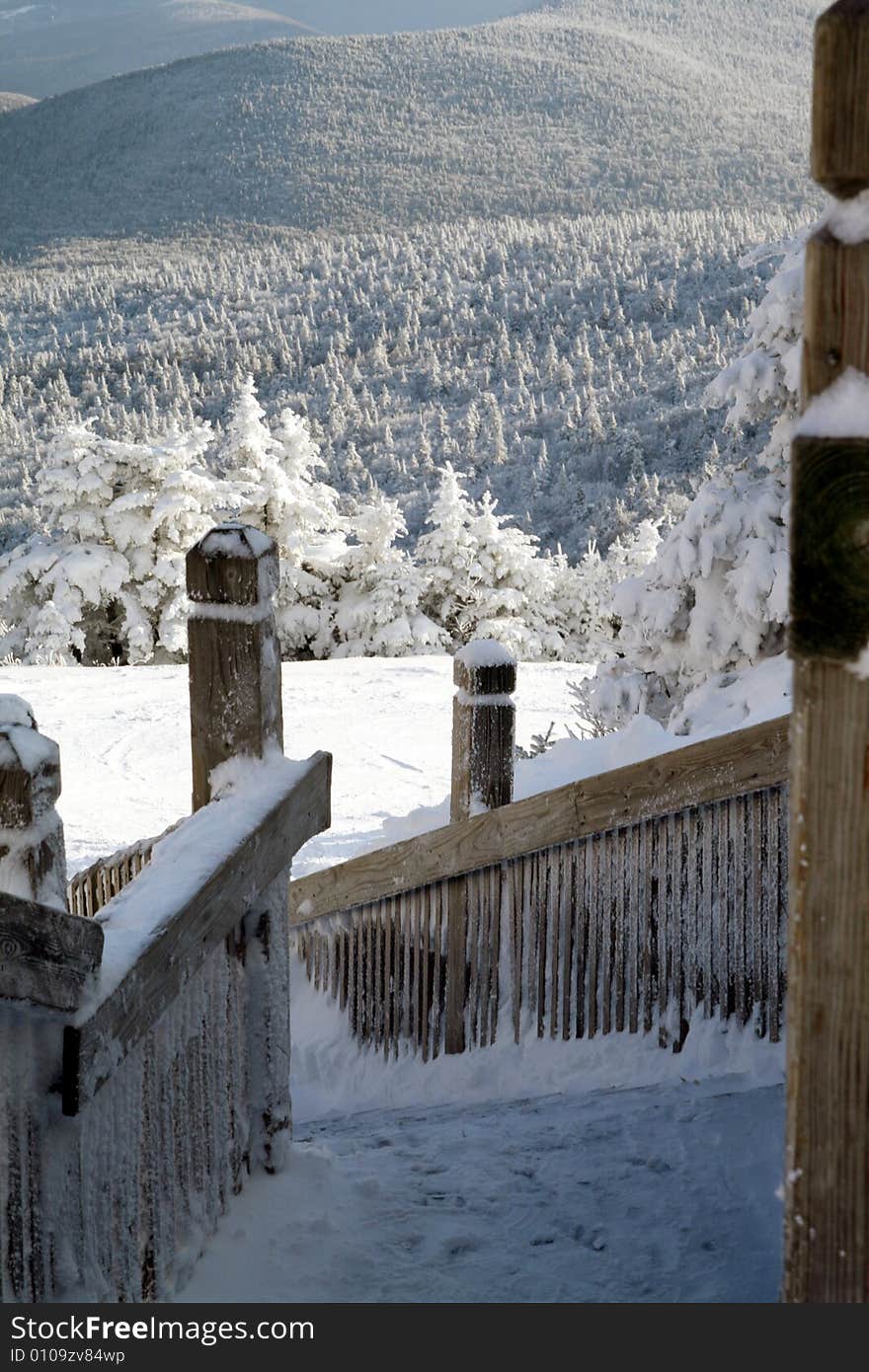 Snow on The Forest seen from a staircase