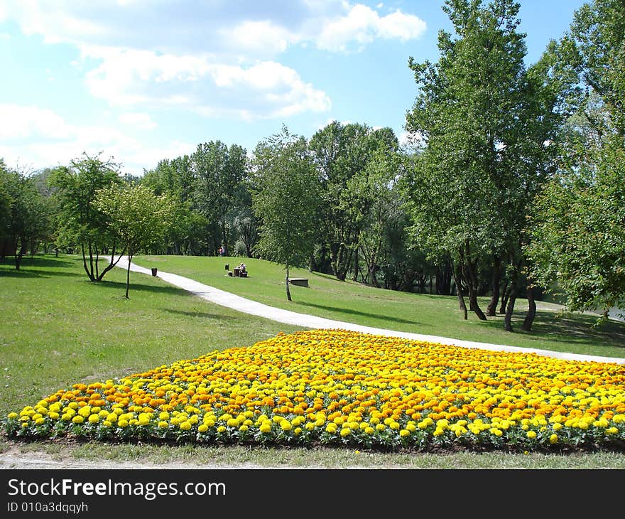 Day in a park