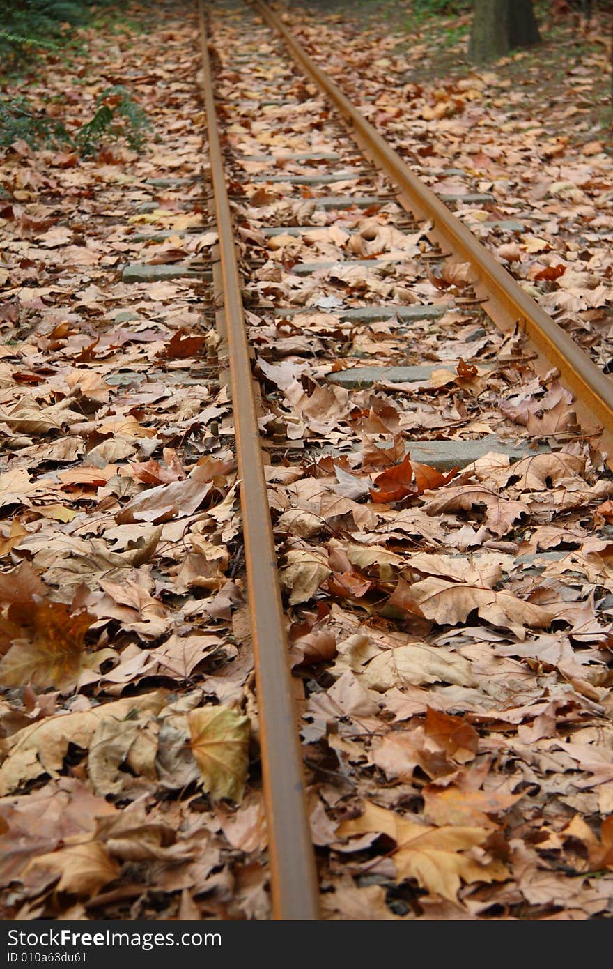 Railway on leaves