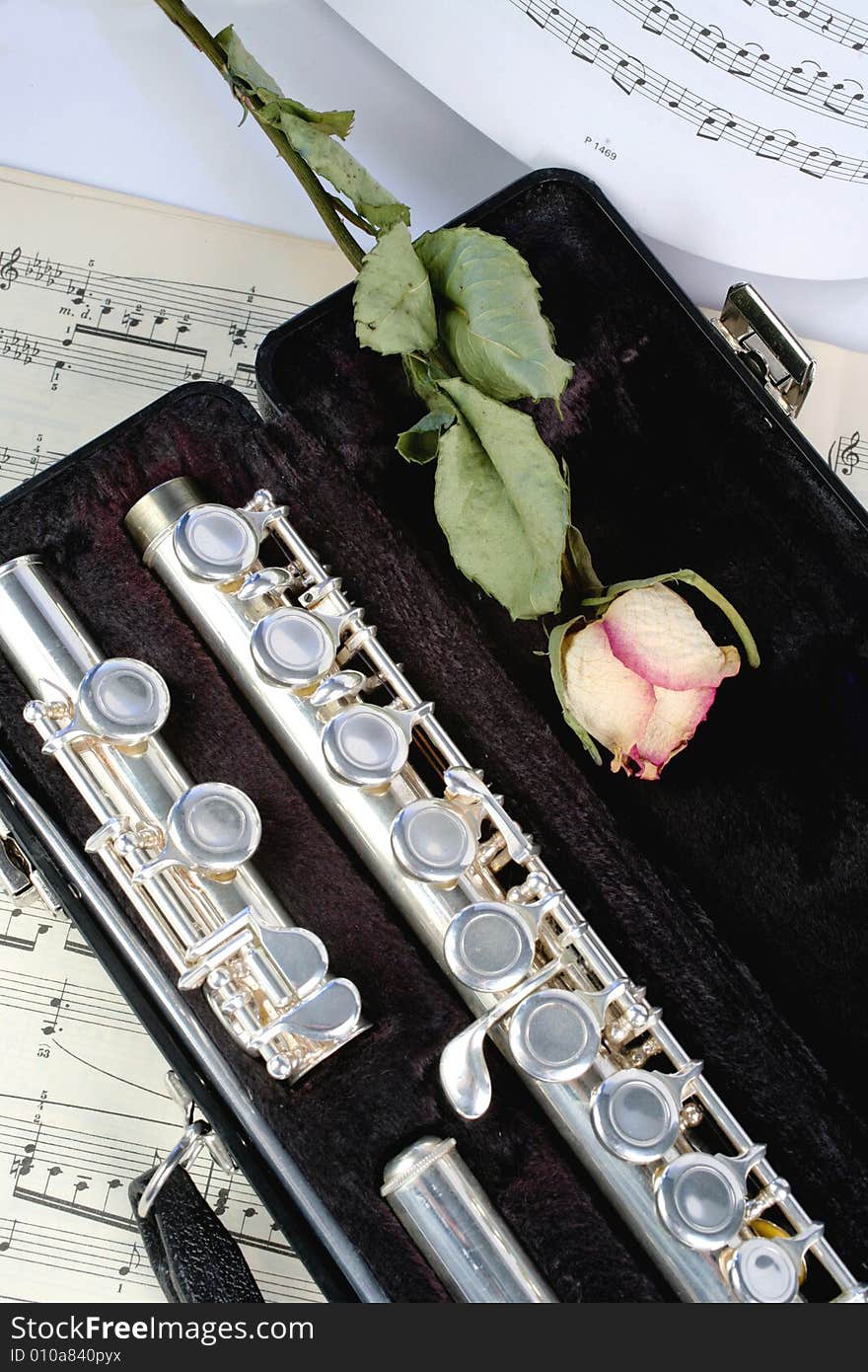 Silver flute between dots