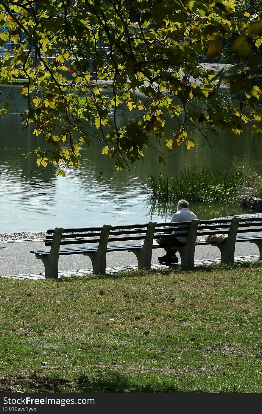 Old man in solitude in a park. Old man in solitude in a park