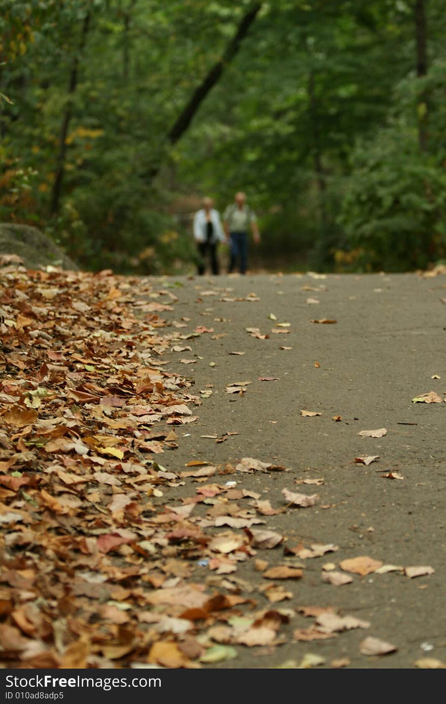 Walking in The Park