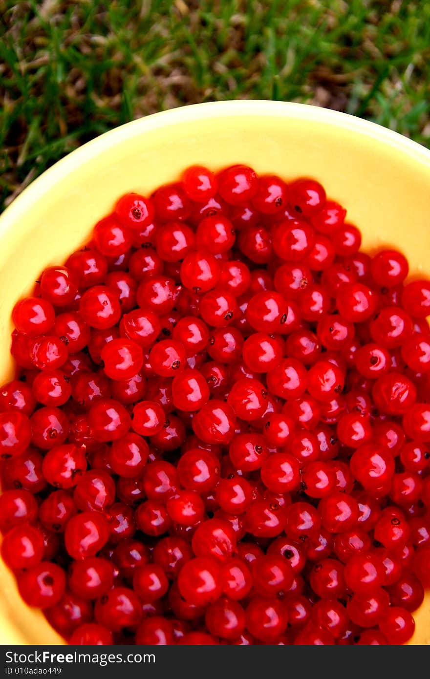 Red currants