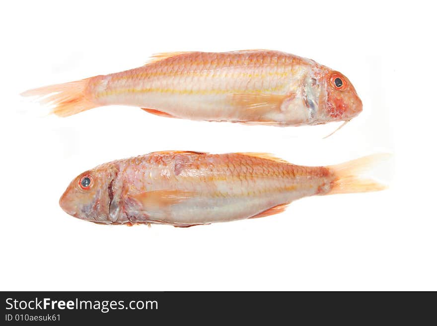 Pair of red mullet