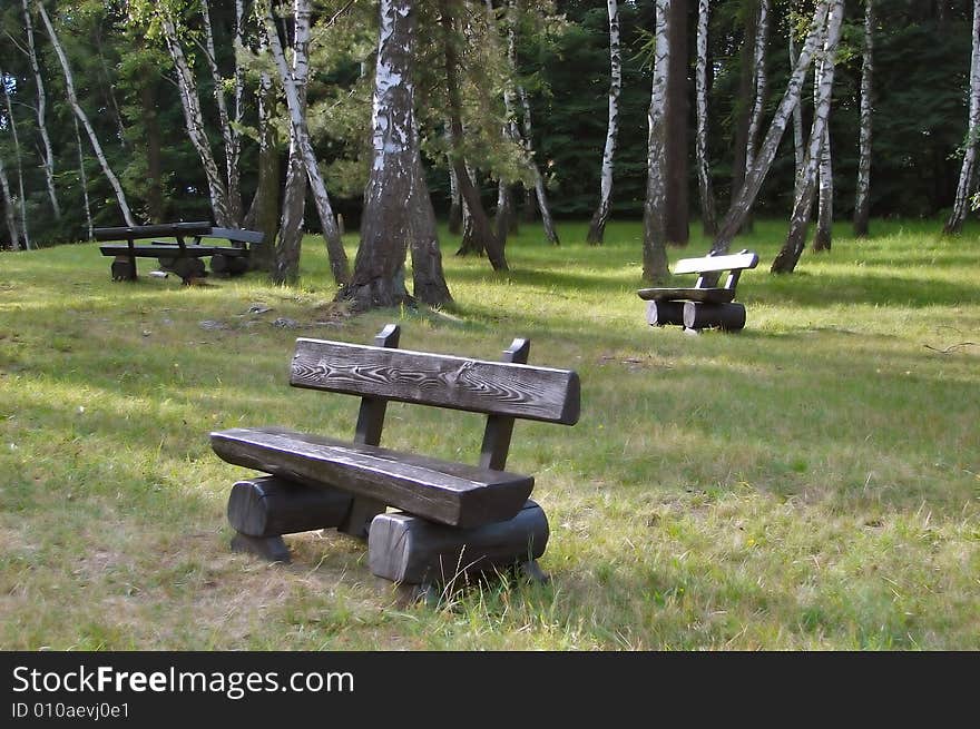 Wood beanch in the forest. Wood beanch in the forest