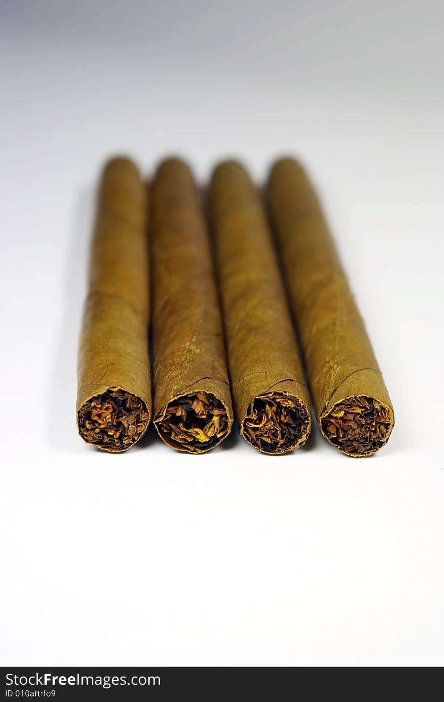 Close-up of four cigars from the front end on a white background