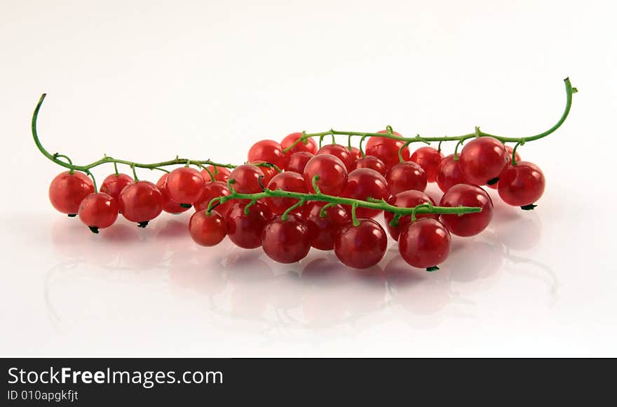 Red currant on white background