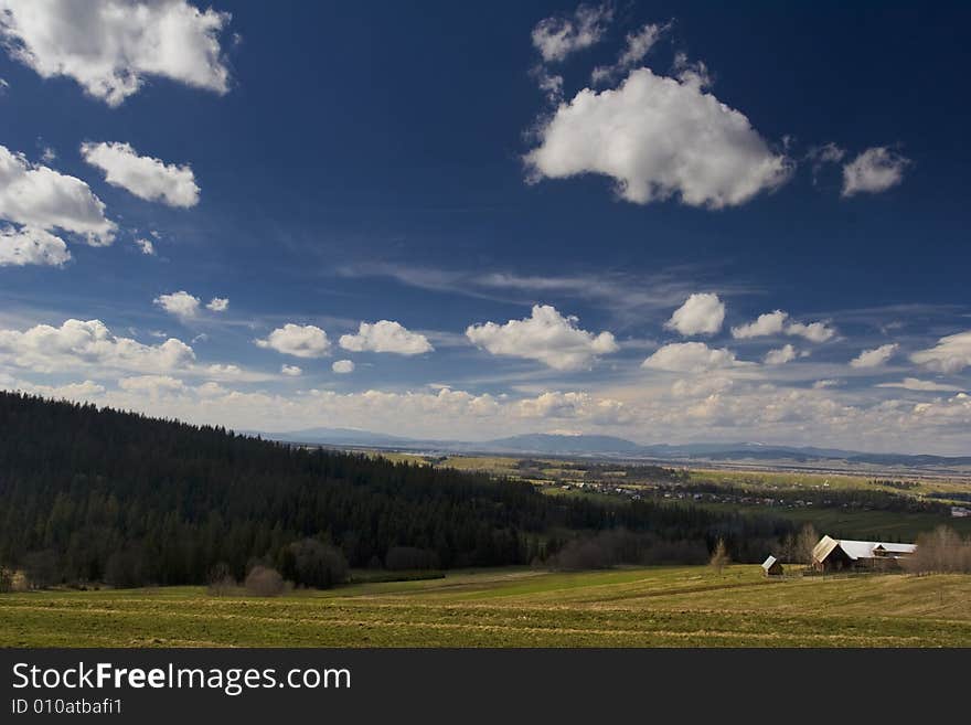 Sunny Landscape