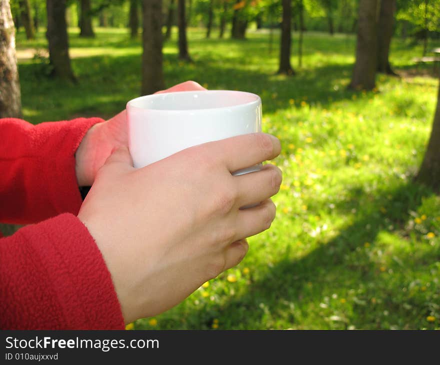 Detail hands with cup of tea, see hands with porcelain cup. Detail hands with cup of tea, see hands with porcelain cup.