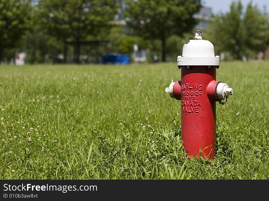 Fire Hydrant in a Green Field