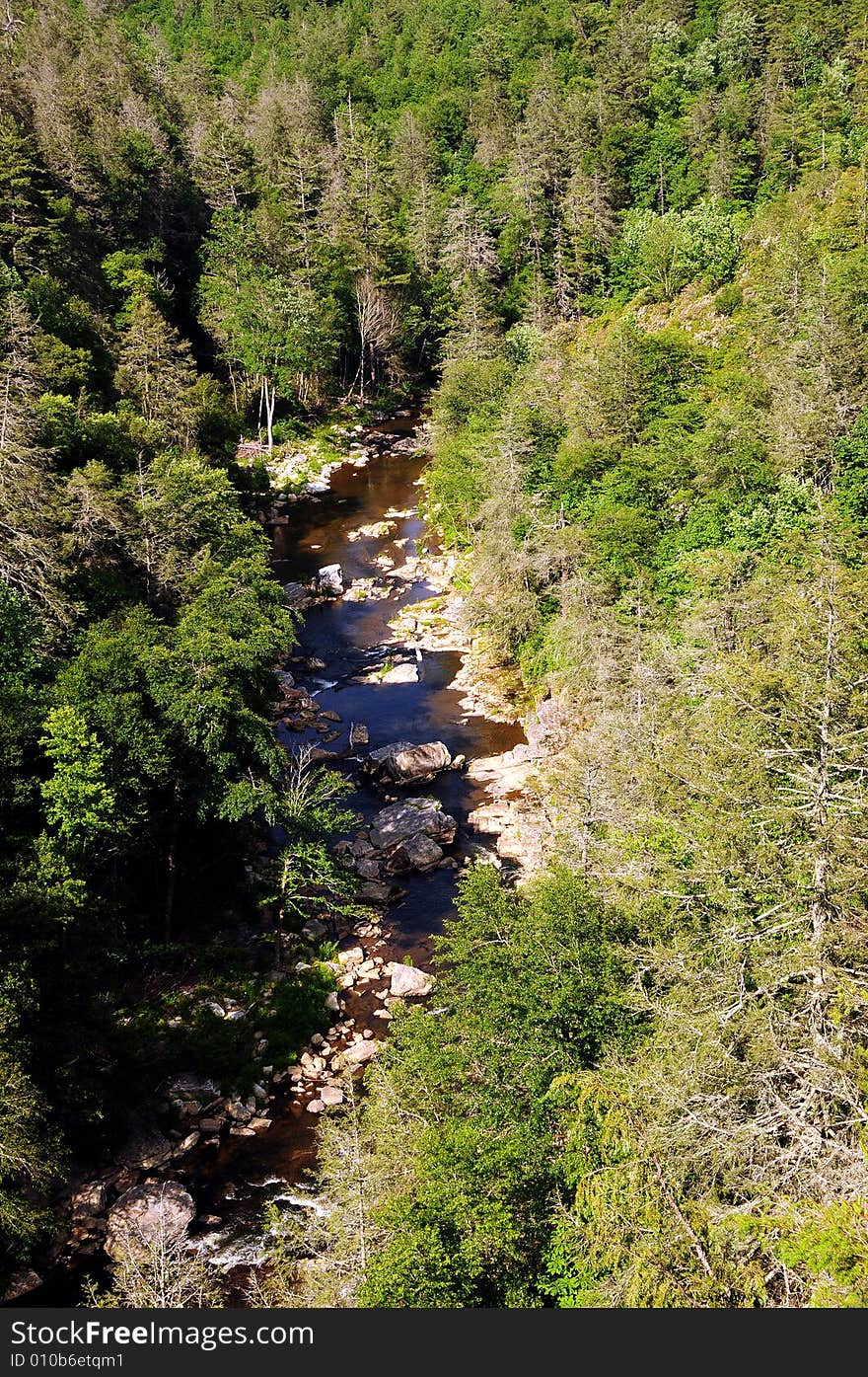 Mountain stream of fresh water. Mountain stream of fresh water