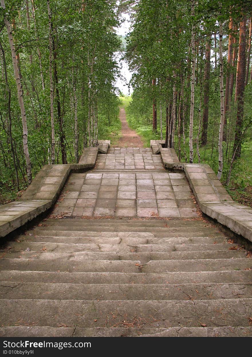 Stairs To Lake