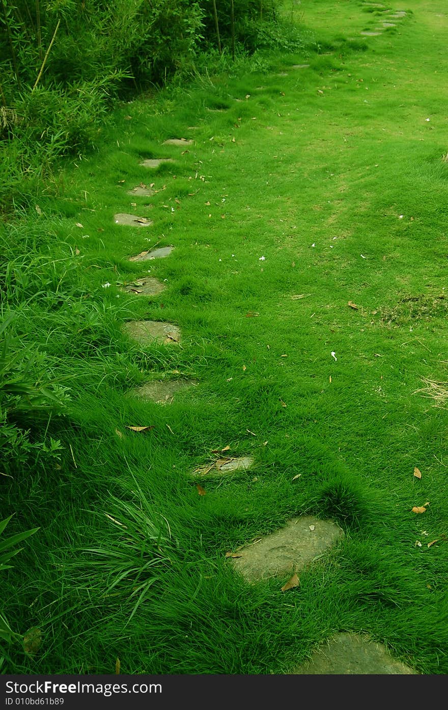 A rock road on a hill through the image vertically
The content of this image is less than the other one