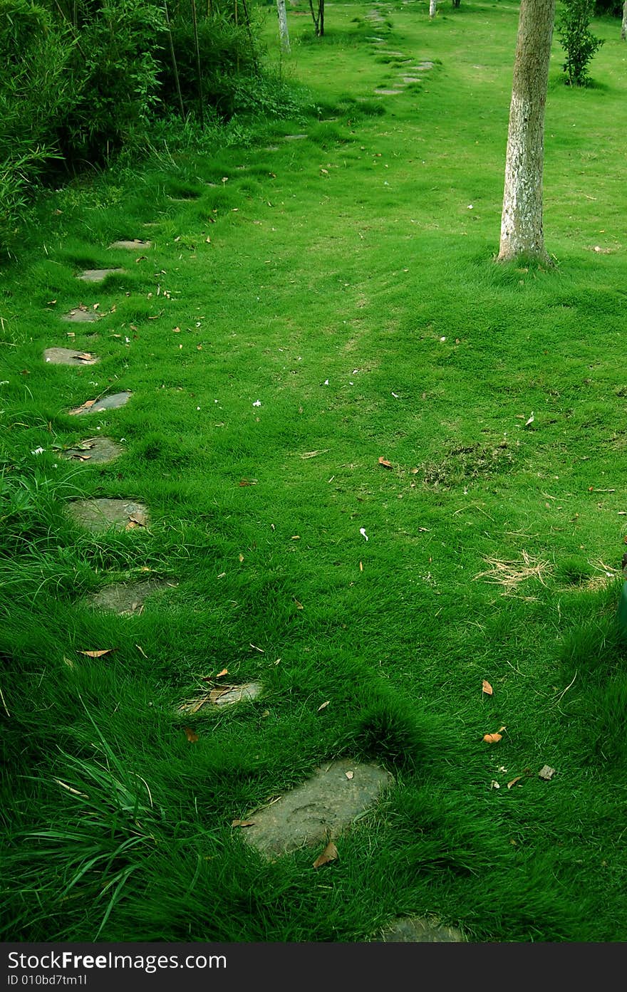 A rock road on a hill through the image vertically