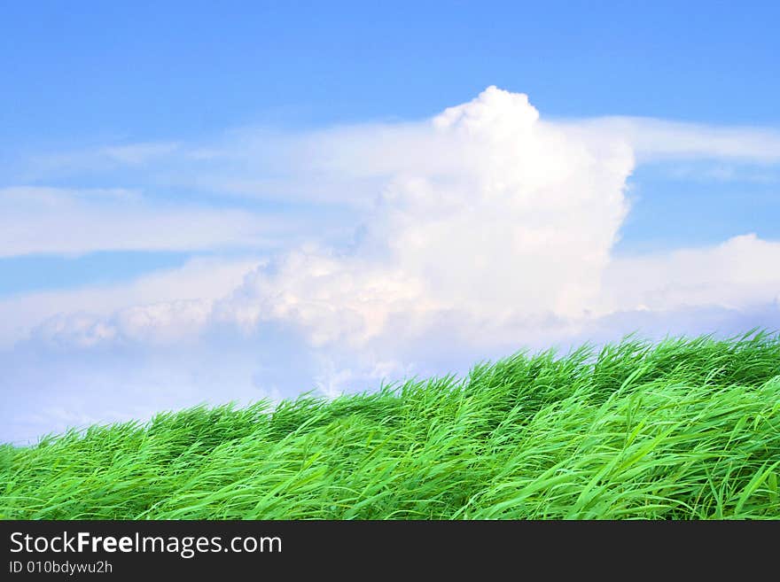 Sky and cloud on green year landscape