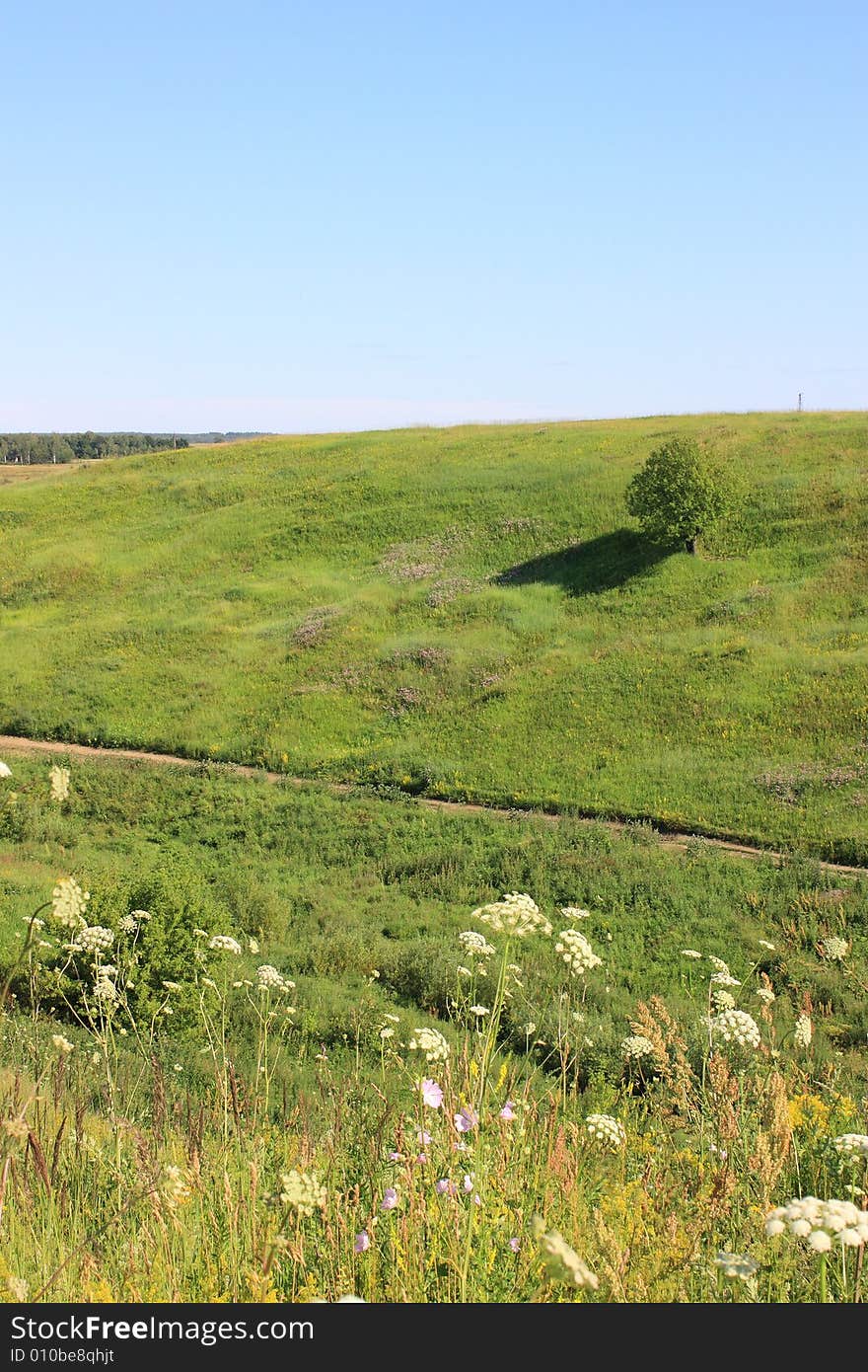 Ravine in Ryazan