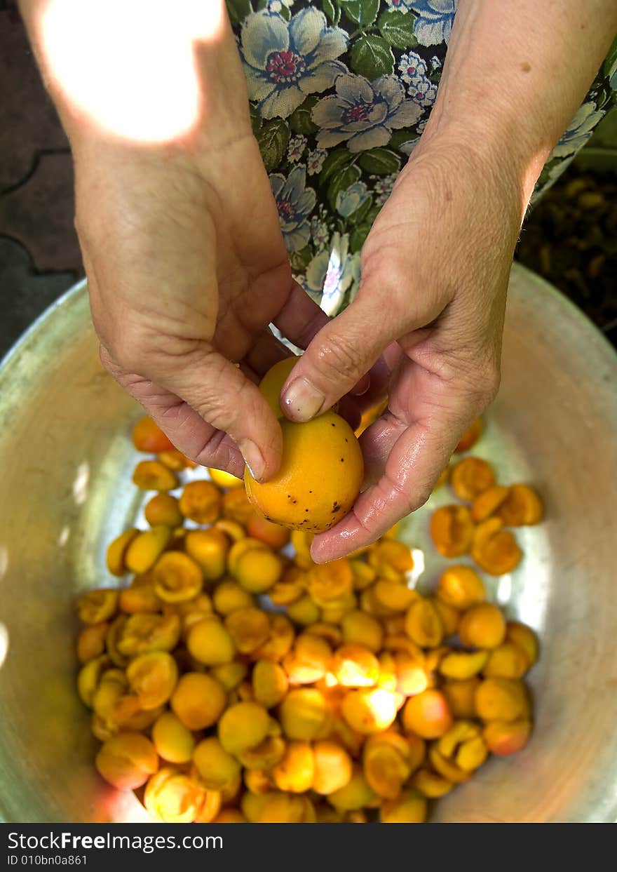 Senior woman hands cleaning apricot over metal dish. Senior woman hands cleaning apricot over metal dish