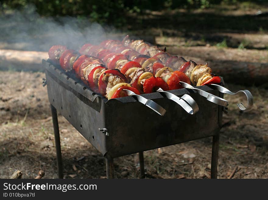 Delicious kebab on BBQ