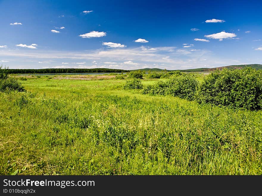 Water Meadow