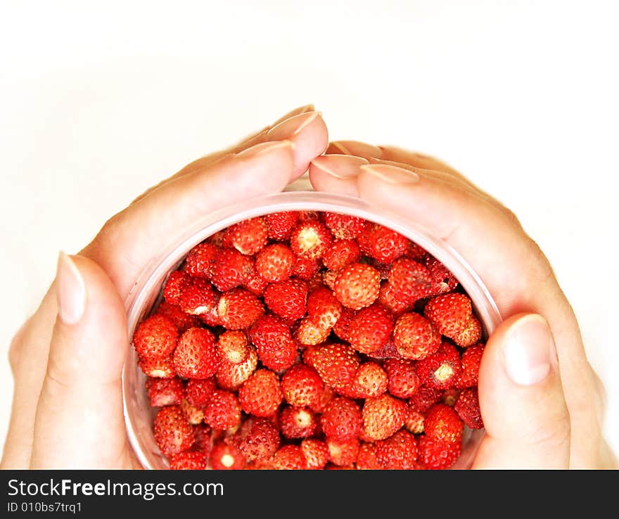 Wild Strawberries In A Cup