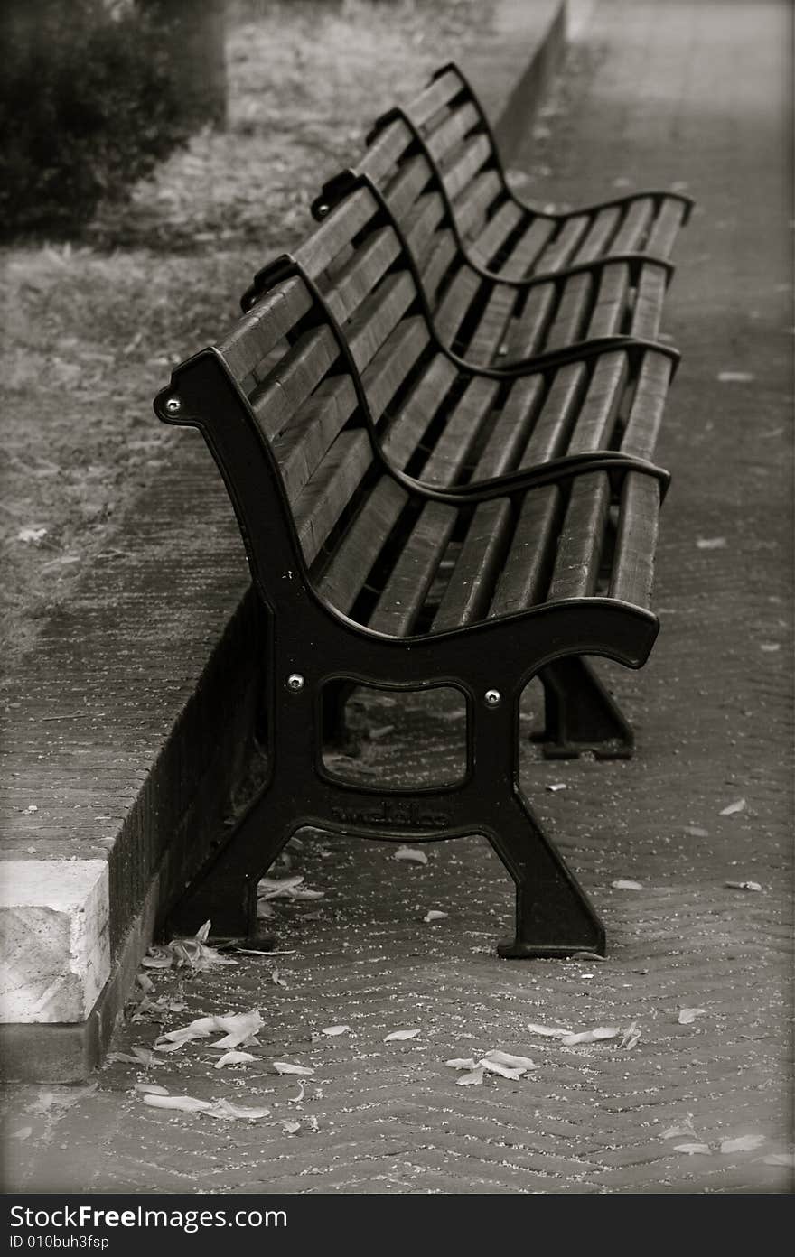 Bench at the park in city. Bench at the park in city