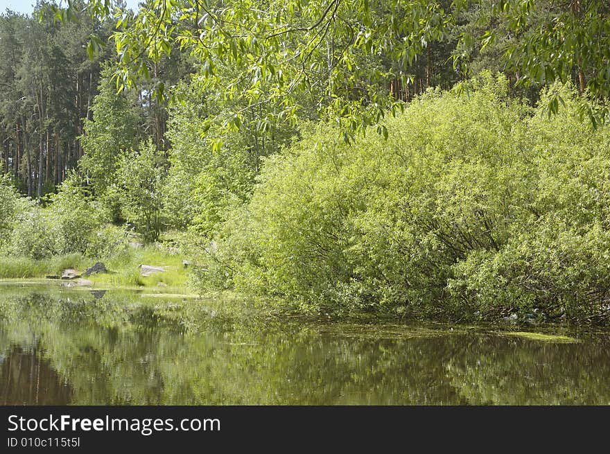 Photo of lake coast where trees are reflected in the water