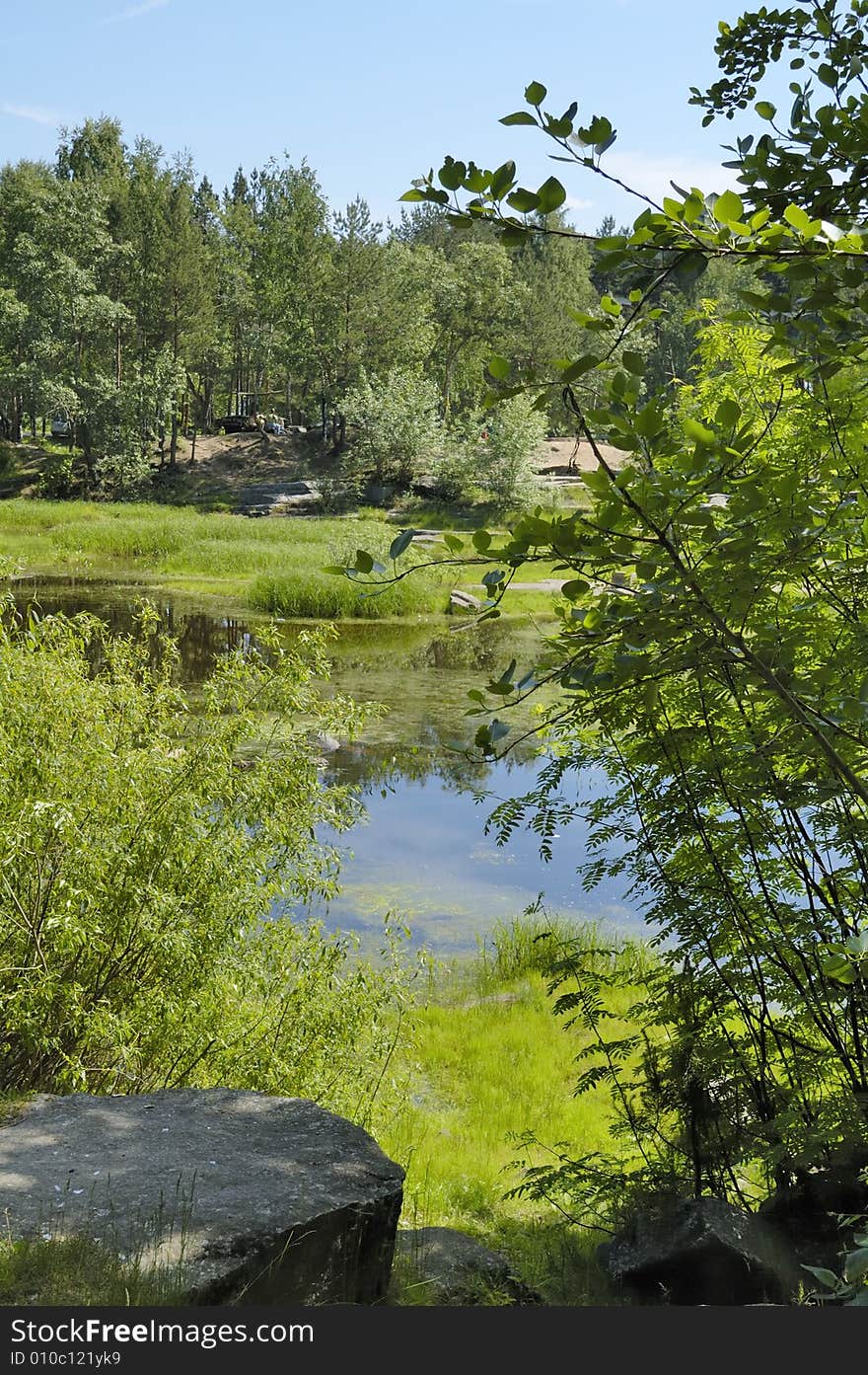 View on the lake coast through bush branches. View on the lake coast through bush branches