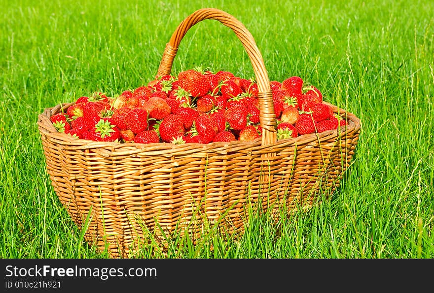 Big heap of strawberry in the basket which is situated on the green lawn