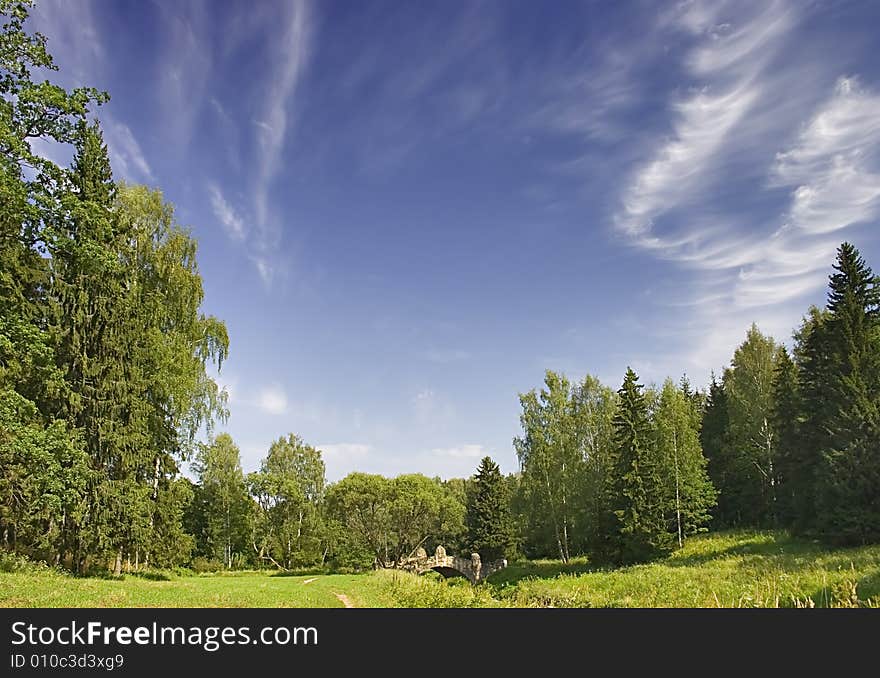 Curly clouds above forest