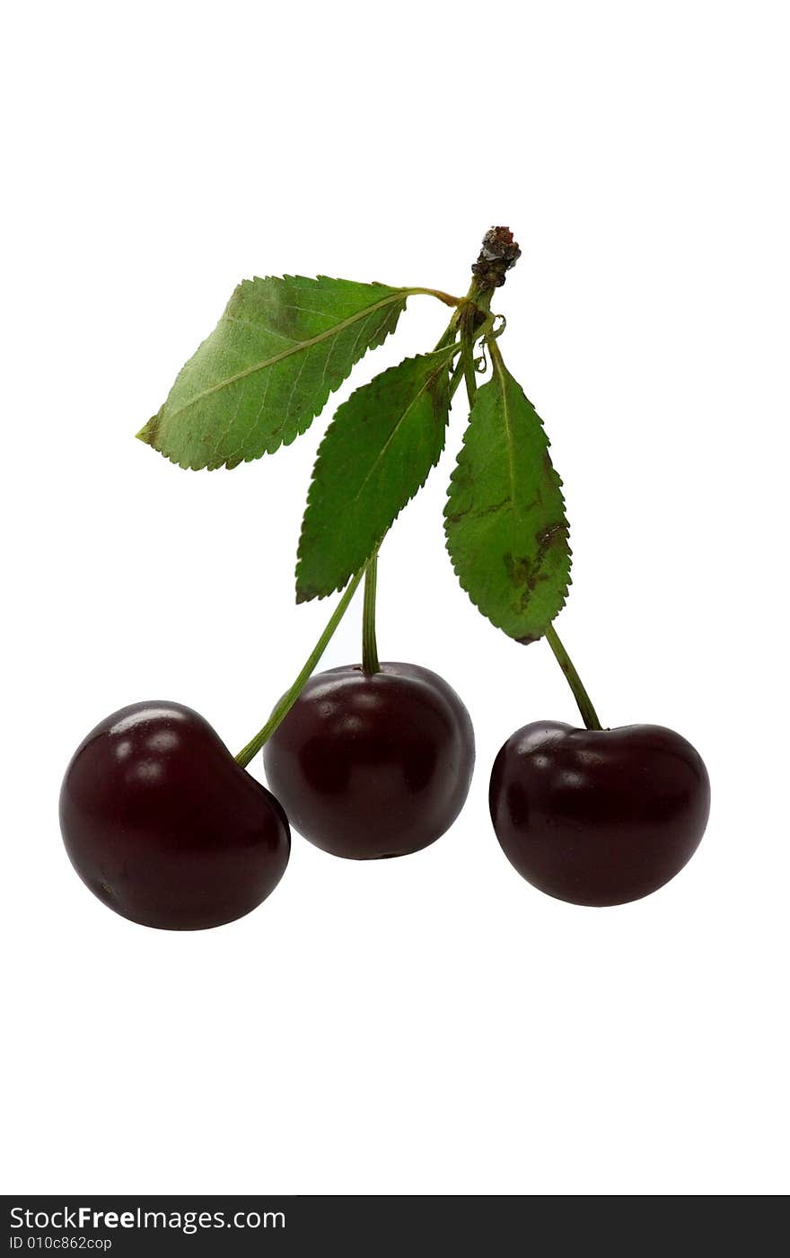 Ripe fruits of a cherry on a white background