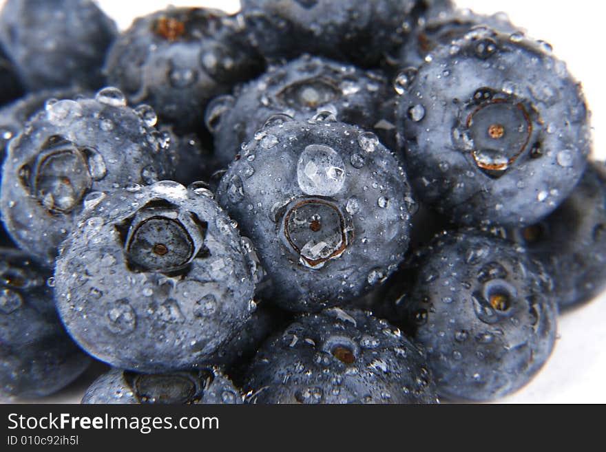 Very fresh and sweet bilberries