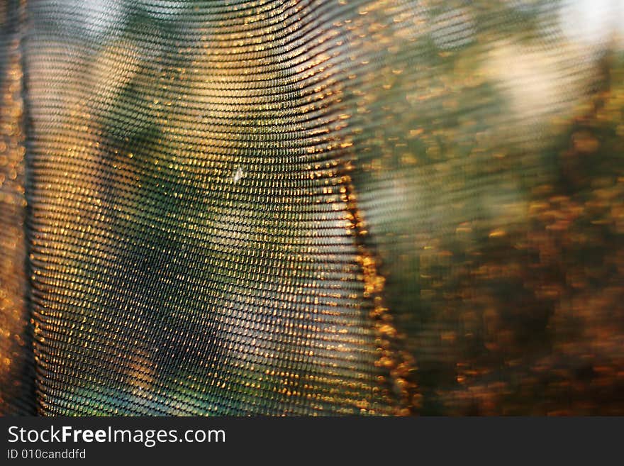 Golden background of net with shallow depth of field