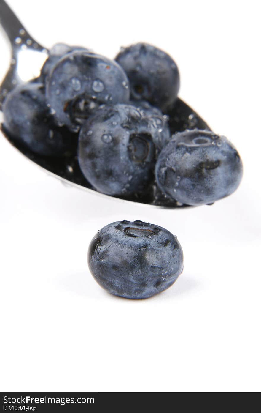 Bilberries