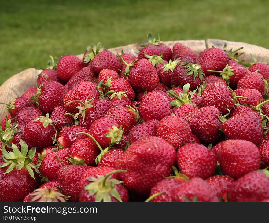 Large wooden trencher full of freshly picked strawberries. Large wooden trencher full of freshly picked strawberries