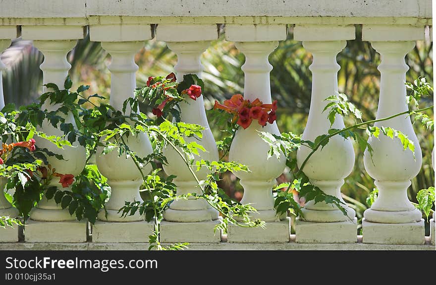 Balcony on sunny terrace.