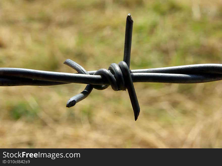 Close-up of a barbed wire around a field.