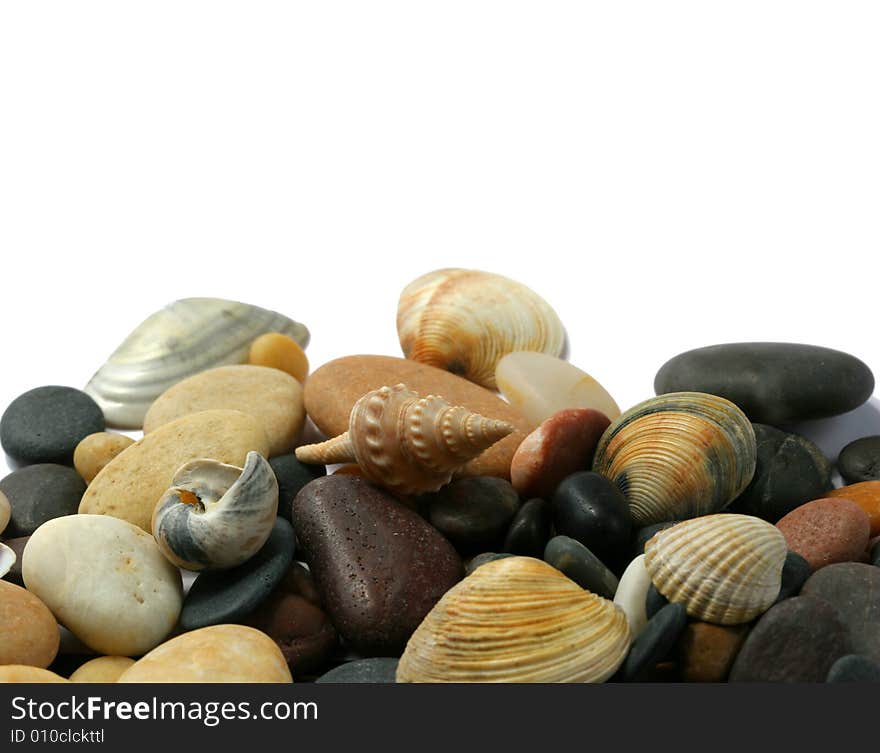 Seashells  and stones on white background