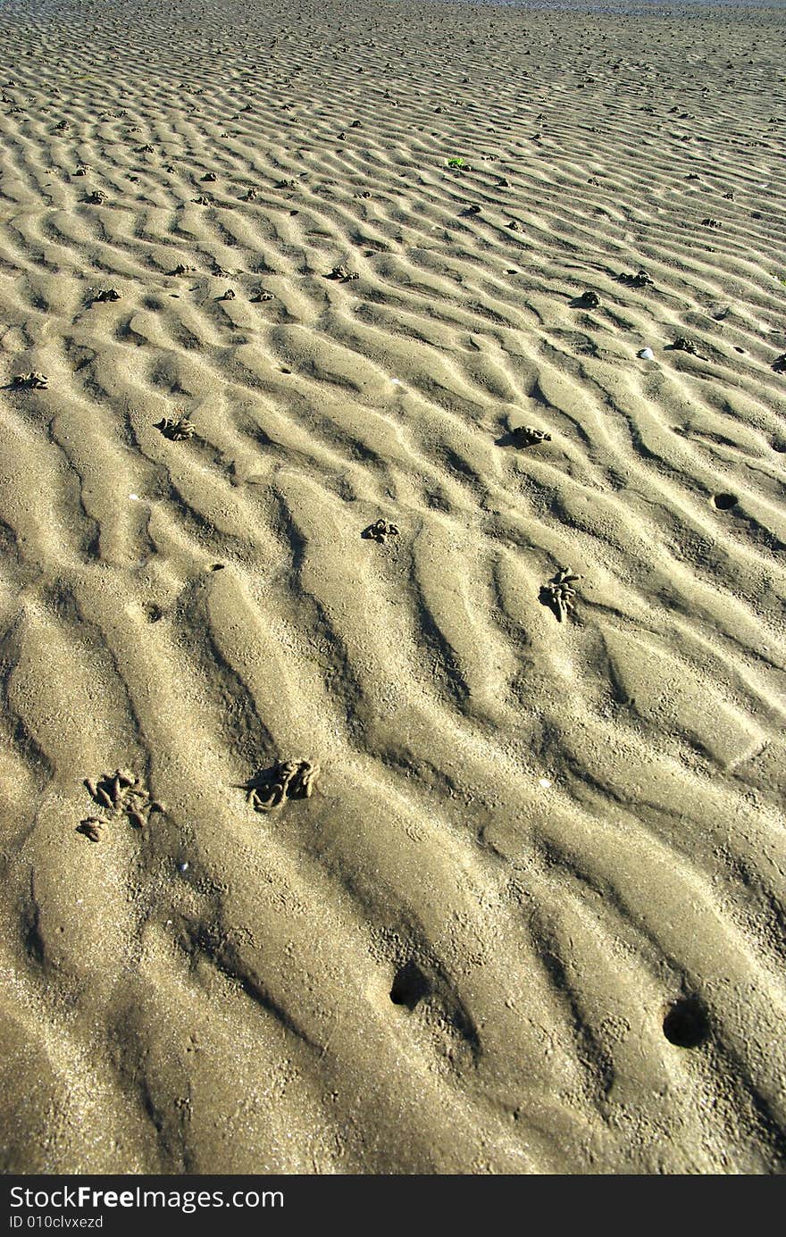 Close-up of the ripples of a sand beach at low tide.