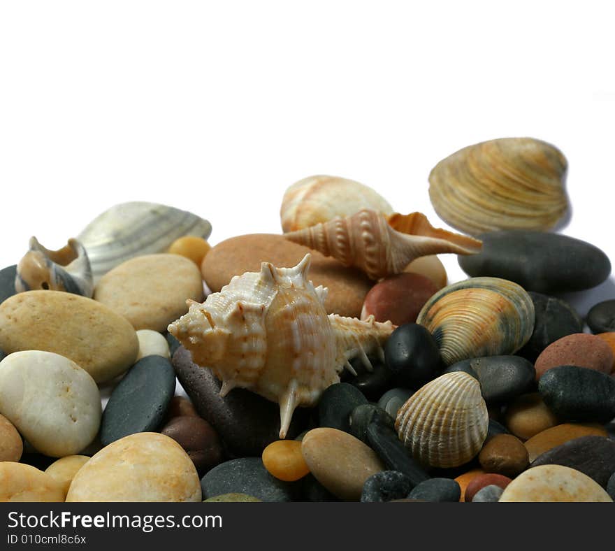 Seashells  and stones on white background