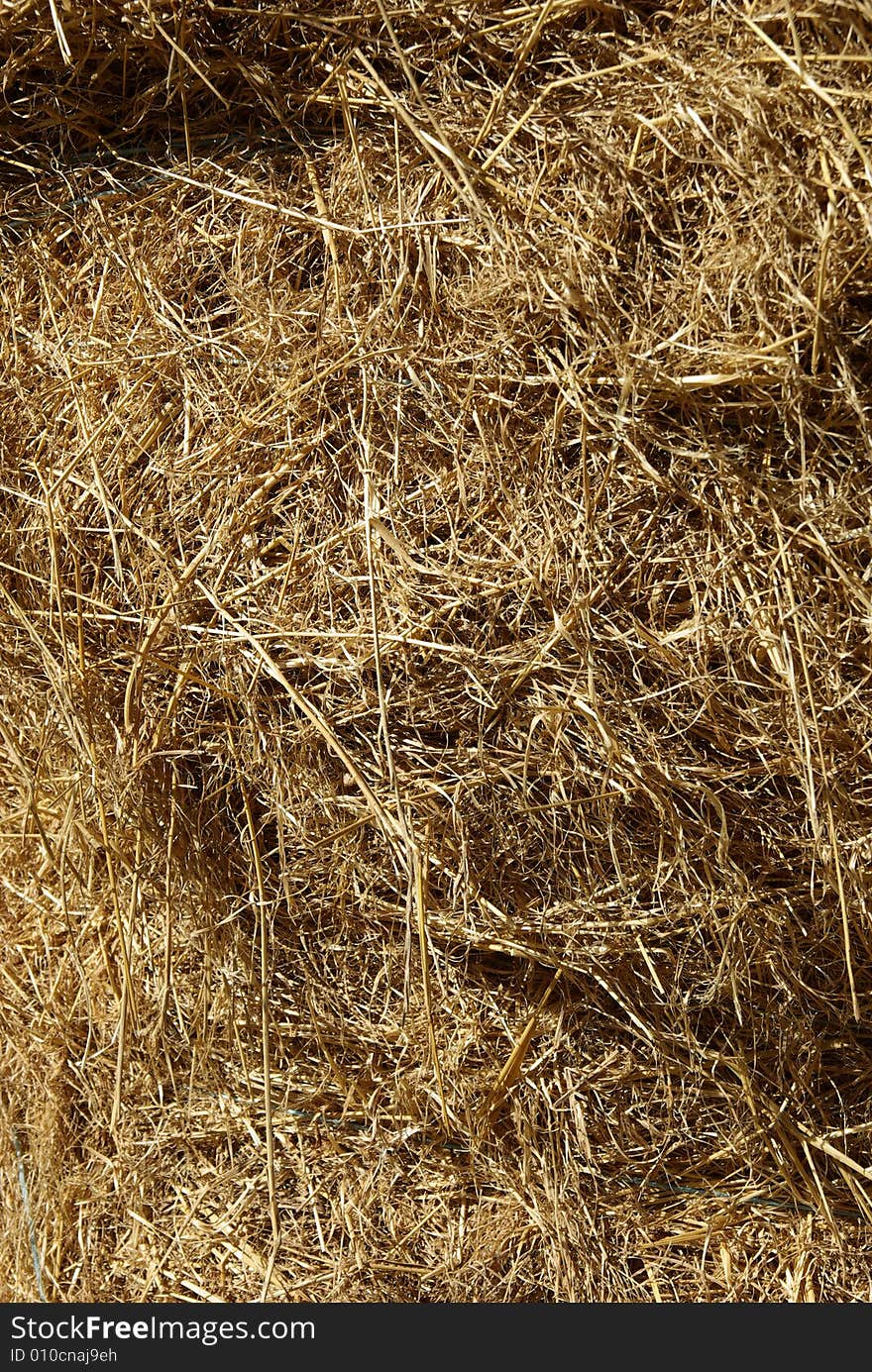 Hay detail