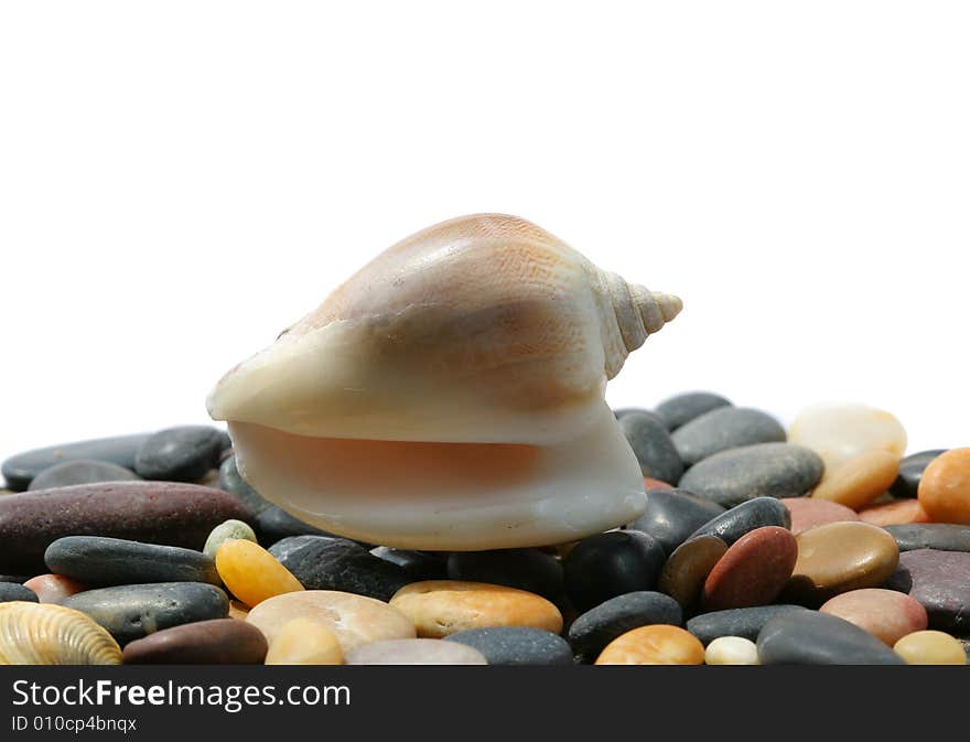 Seashell and stones isolated on white background