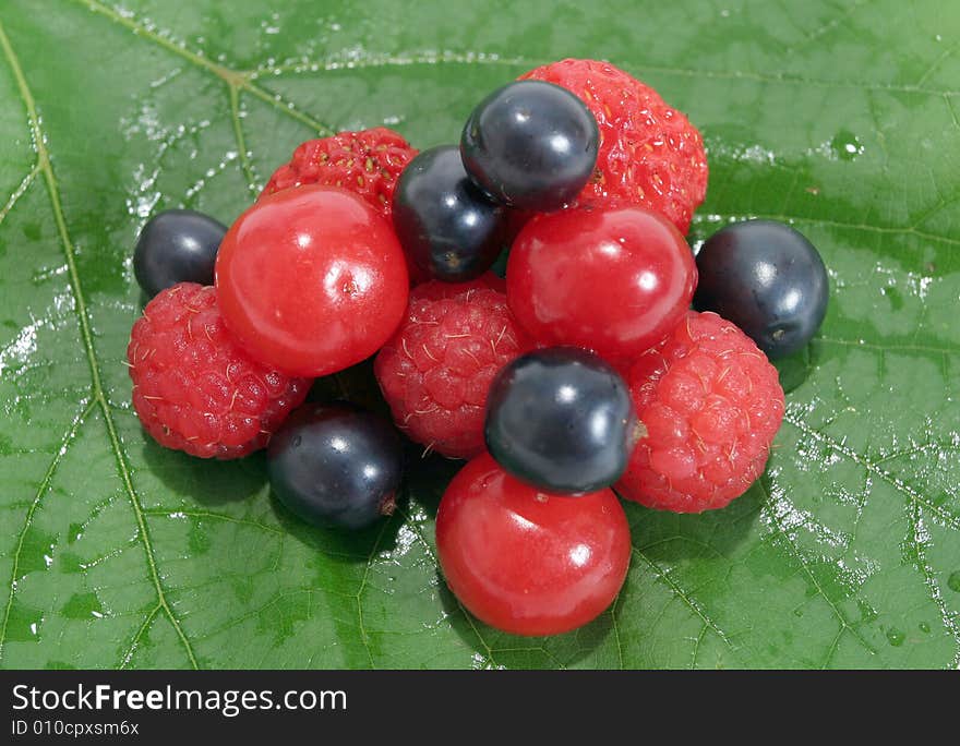 Fruits