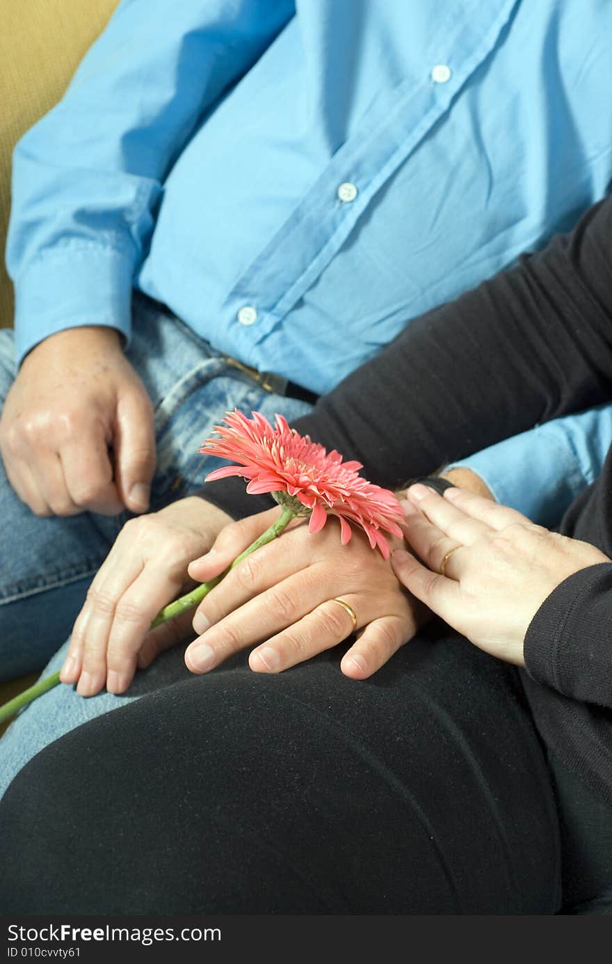 A couple, the woman holding a pink flower, hold hands. - vertically framed. A couple, the woman holding a pink flower, hold hands. - vertically framed